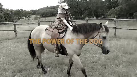 The Power of the Dog ... (The REAL) Power of the Dog! - Live Action TRAILER :D