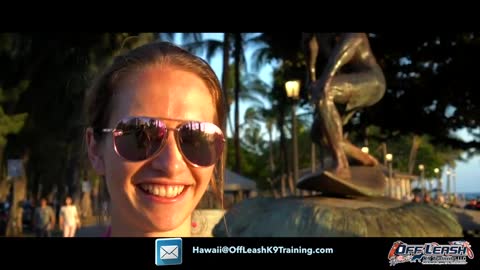 Dog training
