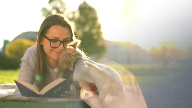 Basic Dog Training – TOP 10 Essential Commands Every Dog Should Know!