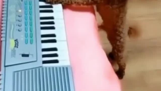 And I play and sing! Are you weak?