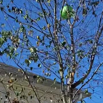 "Baby's Playtime Adventures! 🍼✨ #BabyPlay #CuteKids #ToddlerLife