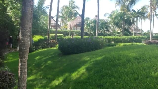 My Resort pool is heavenly