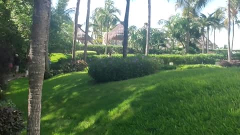 My Resort pool is heavenly
