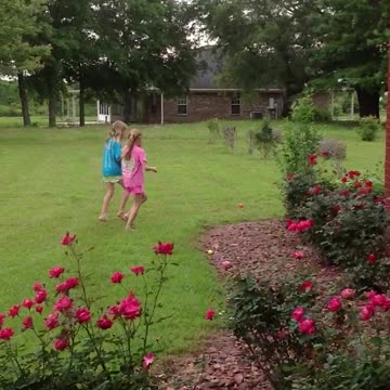 Dad Chases Daughters In A Gorilla Costume