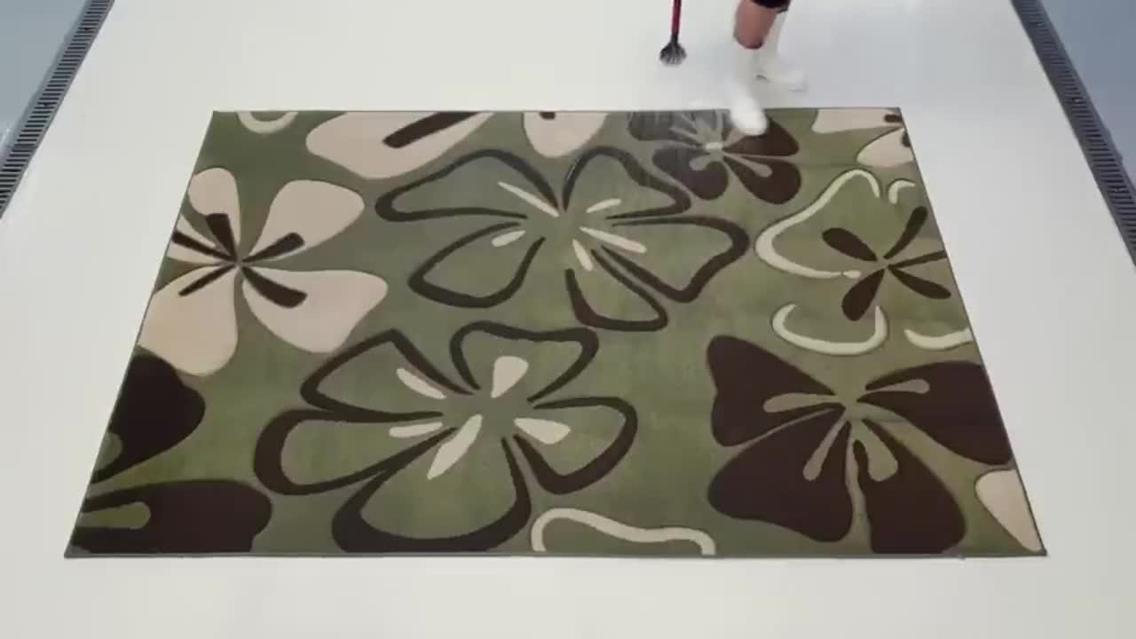 A brand-new carpet. It's too comfortable to see