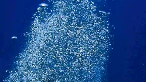 most beautiful taiwan sea play smb