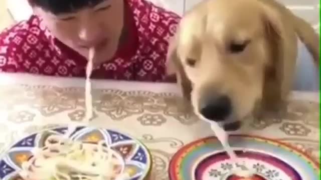 Intelligent dog in an eating competition with a man. You can't stop laughing