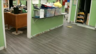 5000 sq ft of Congoleum Triversa Vinyl Plank installed in the Boy's & Girl's Club of Clifton NJ