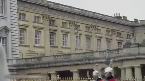 N***Boy appears to climb out of Buckingham Palace window