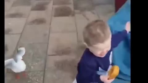 Memes that will make you laugh
