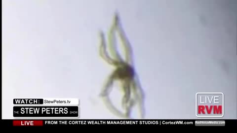 DISTURBING......Look at what Dr Madej has found in vaccine vials.