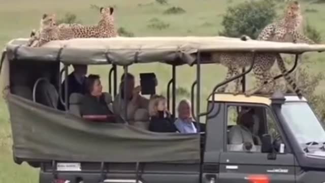 I was terrified and couldn't move