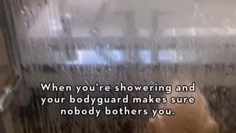 WHEN YOU ARE SHOWERING SO YOUR BODYGUARD COMES TO PROTECT YOU.