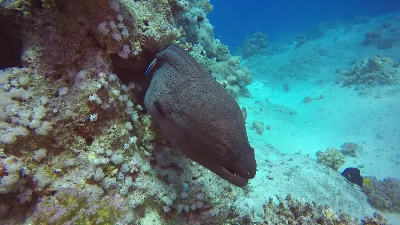 Undersea World, blue deep underwater