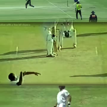 cricket funny video