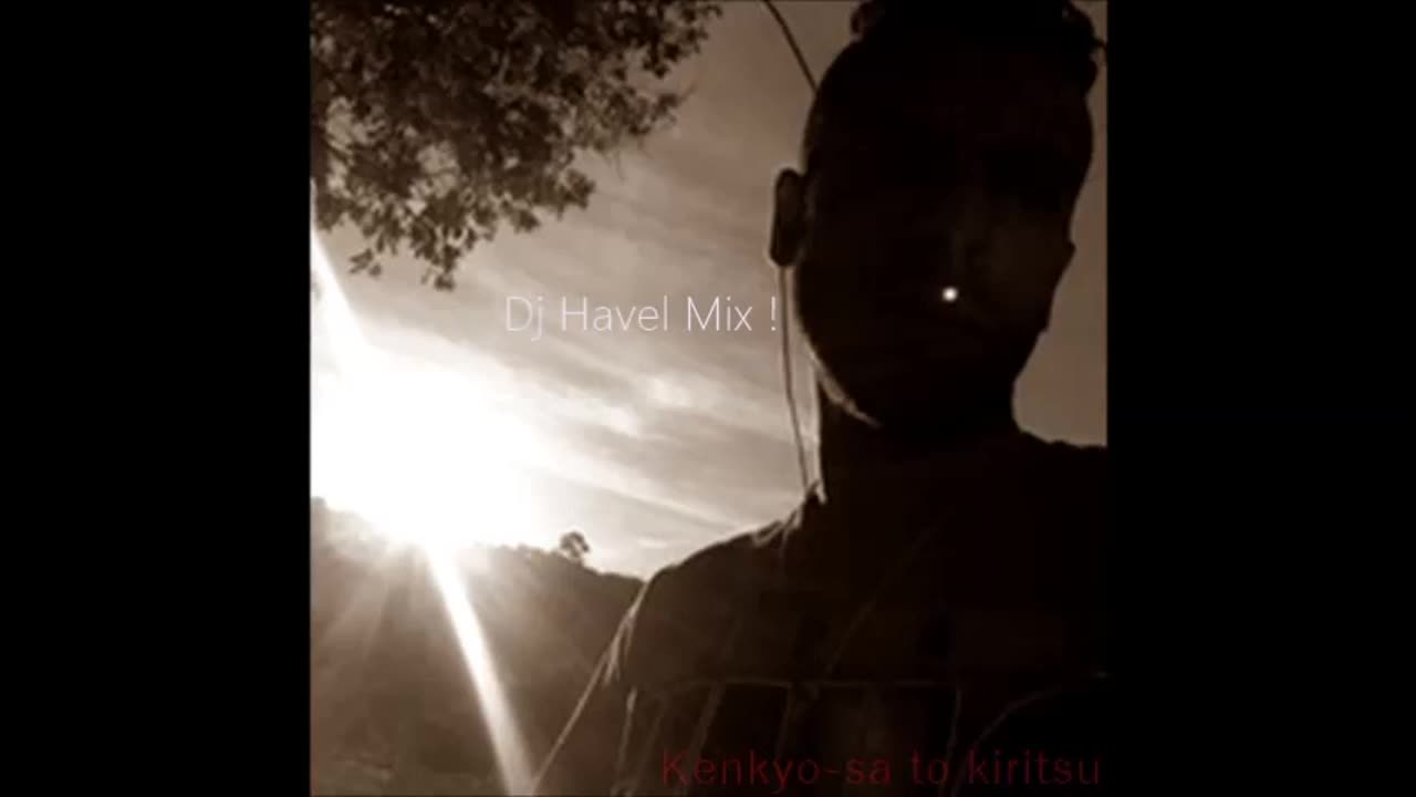 The Best Charlie Brown Mix DJ Havel