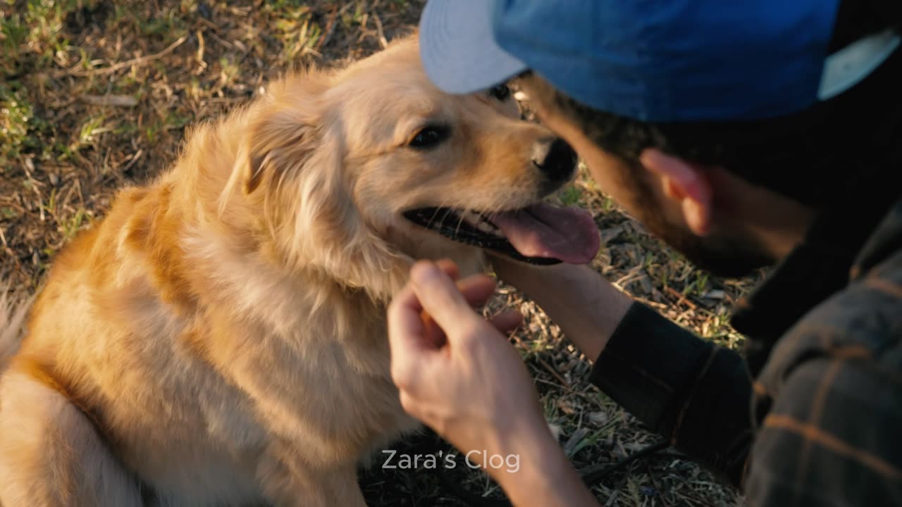 My Adorable Dog | Zara's Vlog