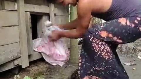 Fun creation with funny cat