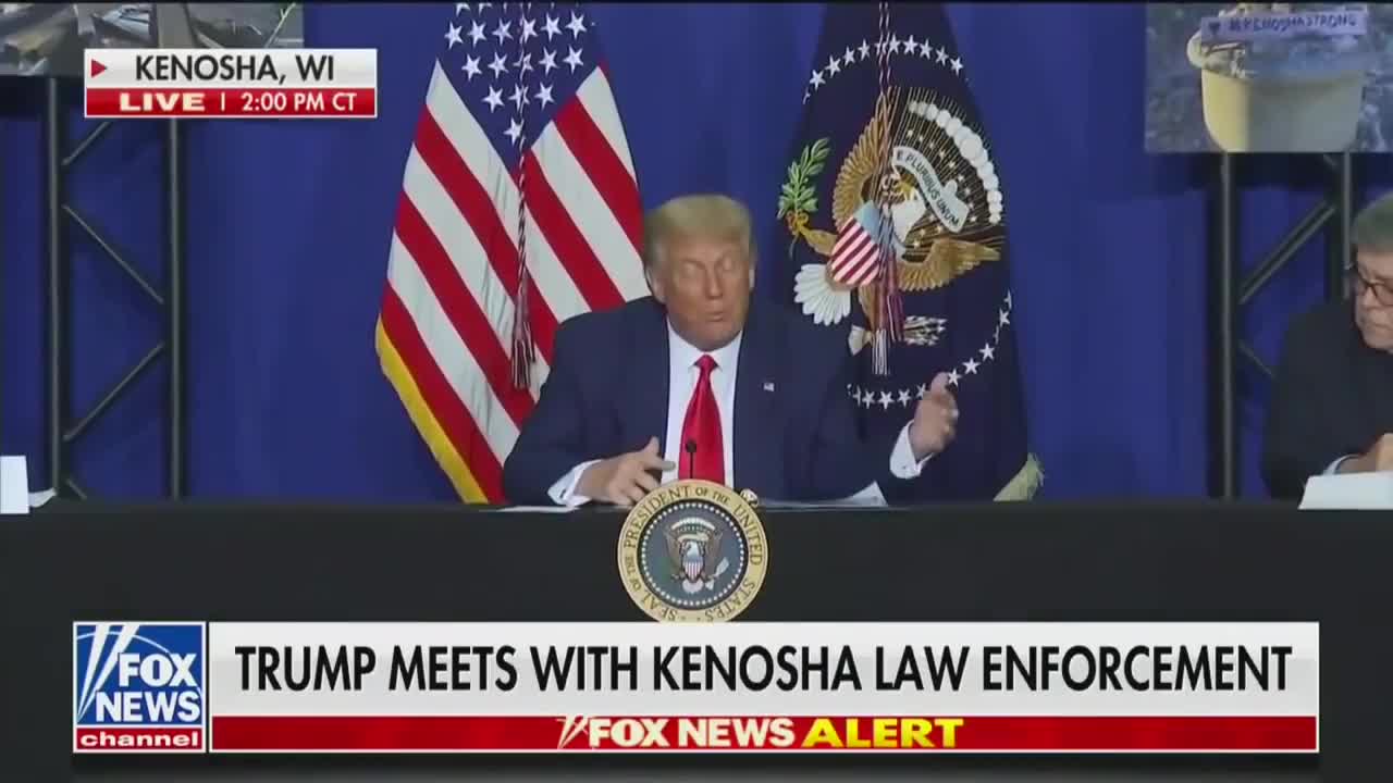 “These are not acts of peaceful protests, but really domestic terror.