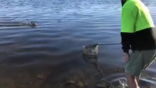 Northpine fishing