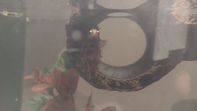 The nature zone: Friendly water.