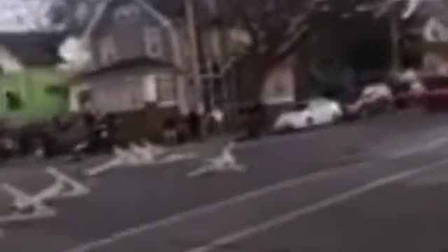 Police Firing Upon a Car That Allegedly Ran Through the Middle of a Wisconsin Holiday Parade
