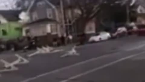 Police Firing Upon a Car That Allegedly Ran Through the Middle of a Wisconsin Holiday Parade