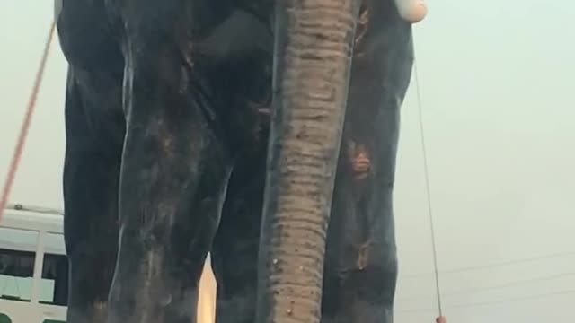 Elephant in Dubai on road