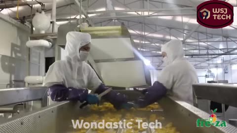 How Mango Juice Is Made in Factory | Modern Fruit Juice Making Technology | WSJ TECH