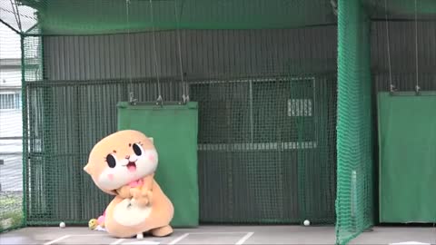 Funny Moment & Mascot fails