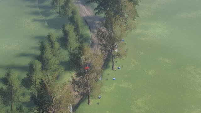 Dirt Rally 2.0 - CITROEN C3 R5 / Gameplay with keyboard