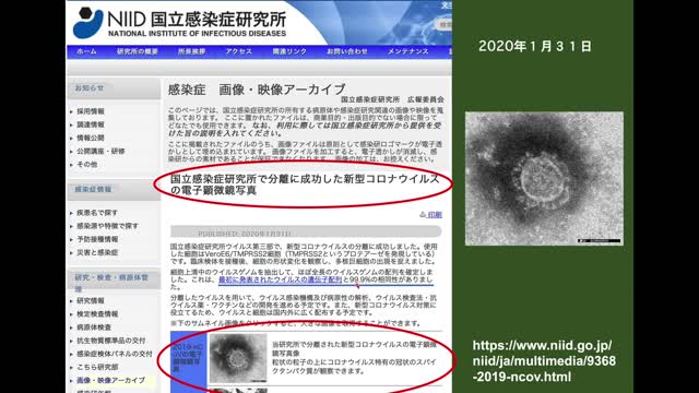 新型コロナウイルスは存在確認されて無い