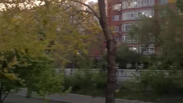 There are so many people on the riverside during the evening walk.