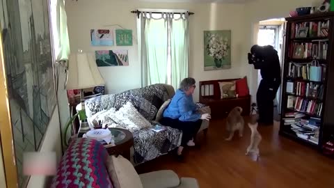 35 Hero Animals that Saved Human Lives !片段