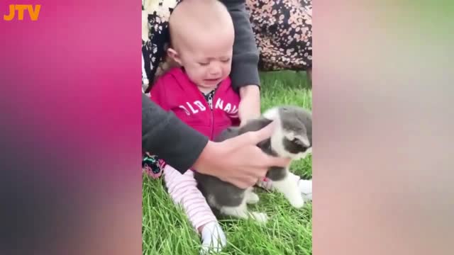 funny cats and cute babies having fun