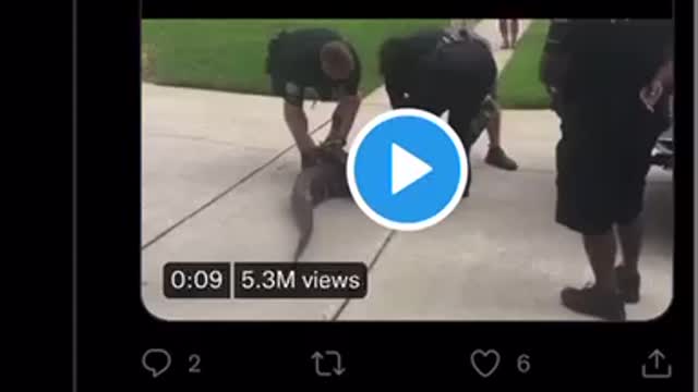 Crock won! Knocked on out.