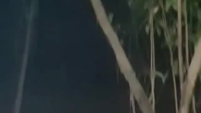 Terrifying roar scares fisherman in the middle of the night