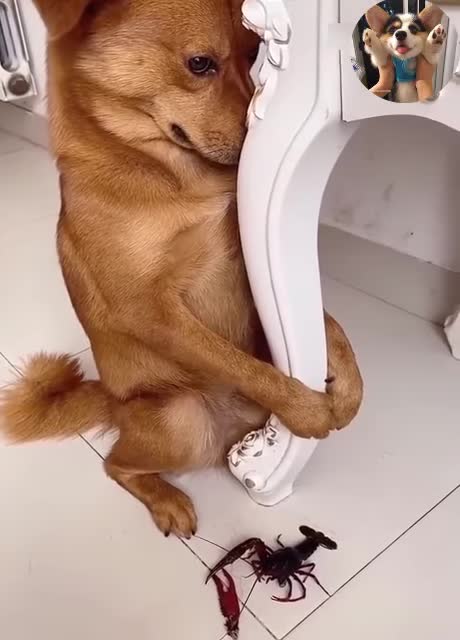 I'm sorry, next time I won't dare to do that again! ☹