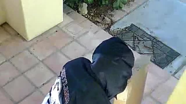 Grinch Porch Pirate