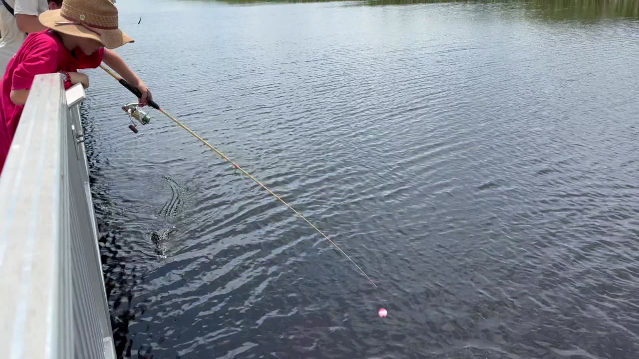 Catch & Cook Taste Test: Large Mouth Bass vs. Peacock Bass! Which One Wins? Viva Family