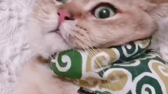 He is usually a troublemaker and a good baby when feeding