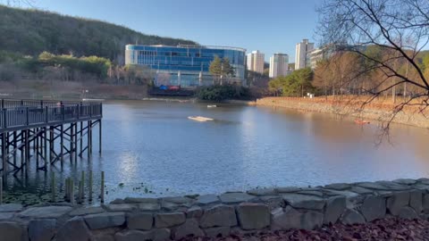 Small Pond in Korea