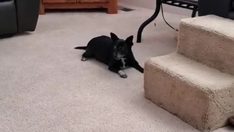 Gina playing by herself