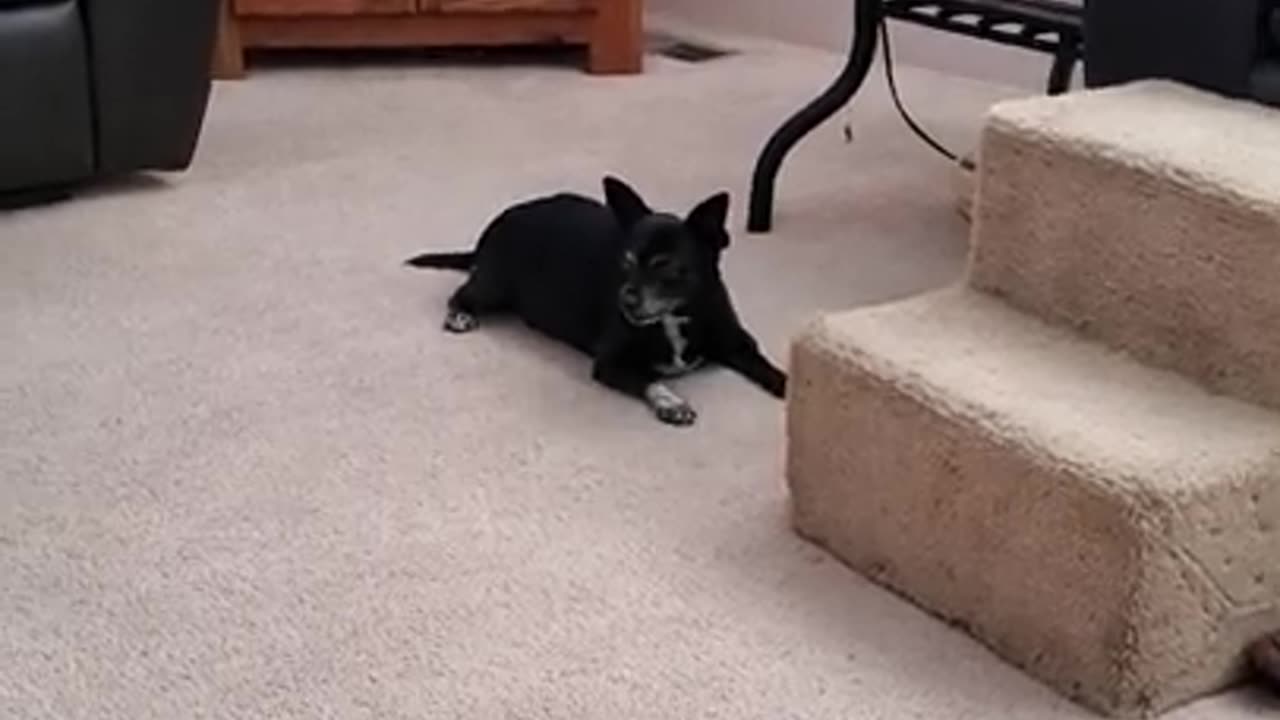 Gina playing by herself