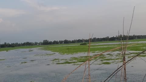 River weather during summer