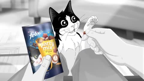 Felix cat is bon detre chat snack