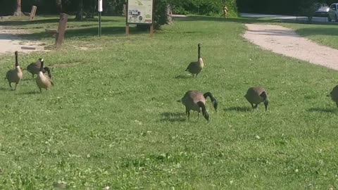 Metroparks Valley Parkway July 4th