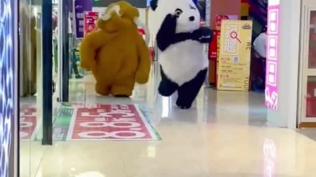 Panda and elephant comedy