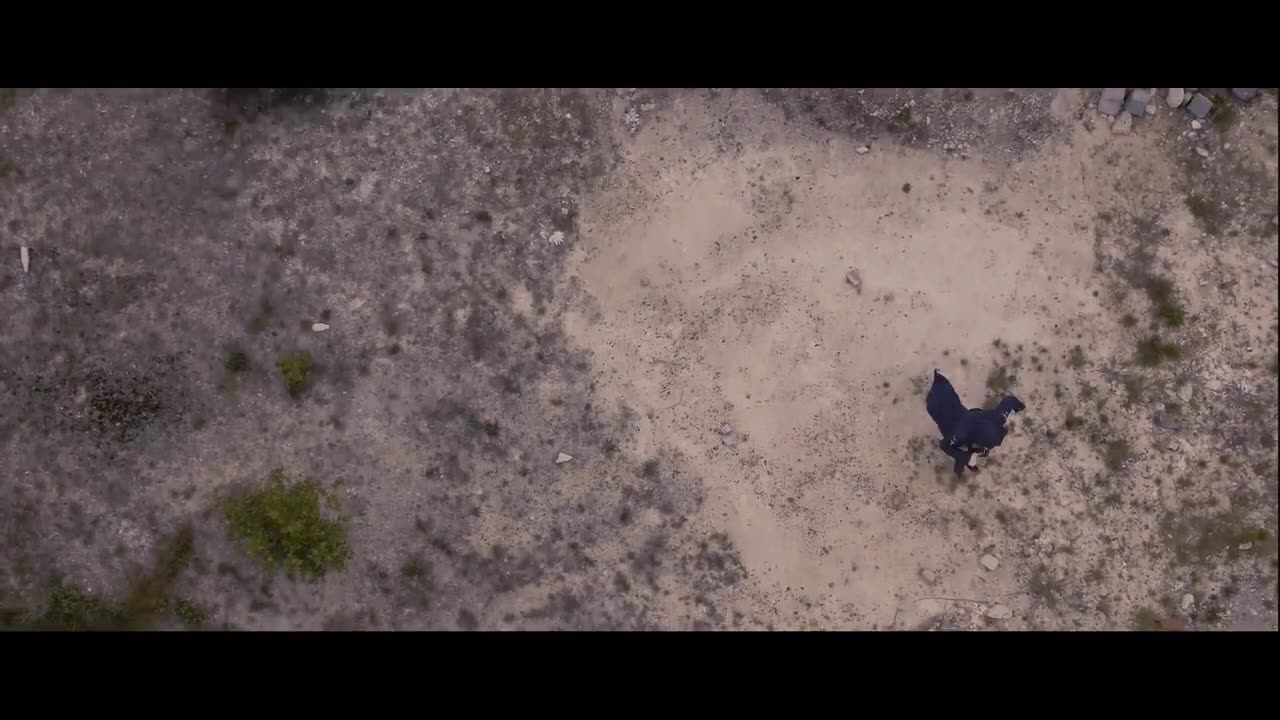 Tazo the Great Project Pitch