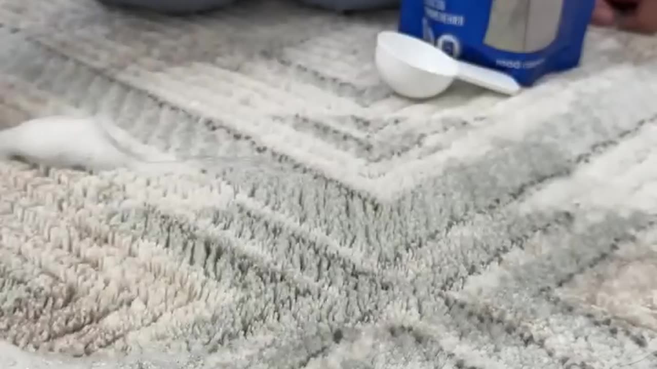 There was no trace cat taking revenge by his owner funniest cat